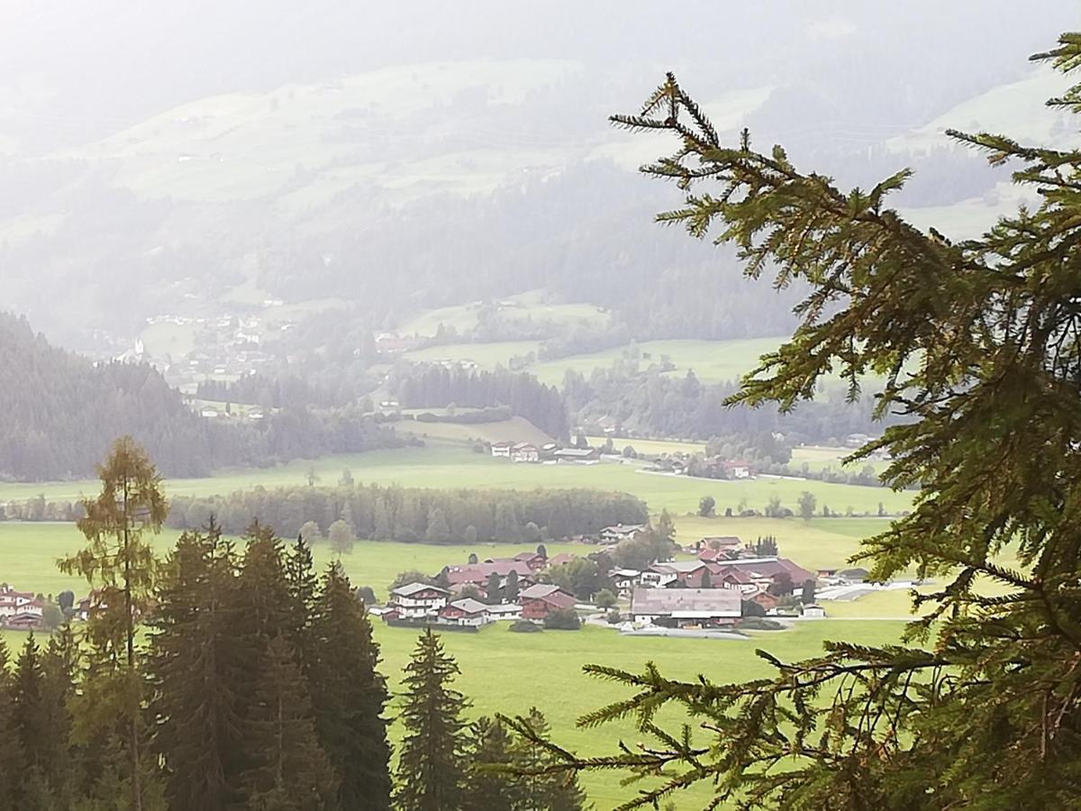 Haus Seppi Hotel Neukirchen am Großvenediger Eksteriør billede