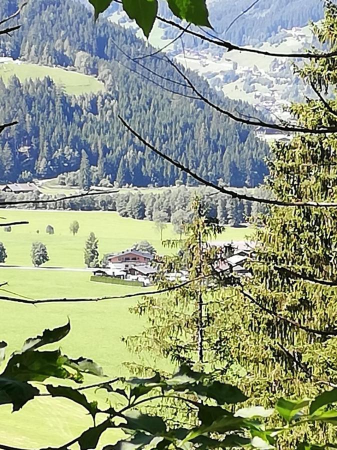 Haus Seppi Hotel Neukirchen am Großvenediger Eksteriør billede