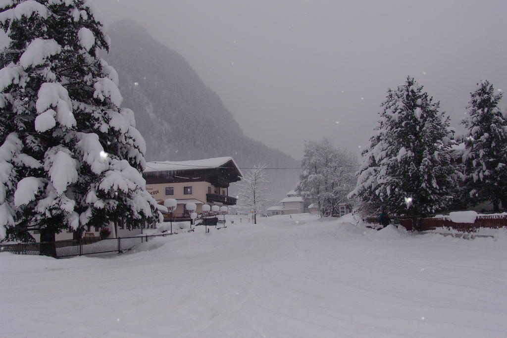 Haus Seppi Hotel Neukirchen am Großvenediger Eksteriør billede